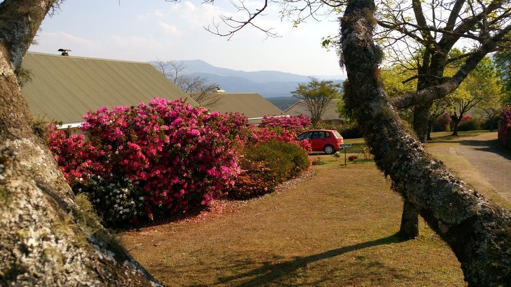 Kloofsig Holiday Cottages グラスコップ エクステリア 写真